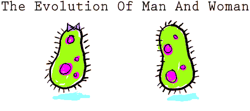 evolution of man and woman