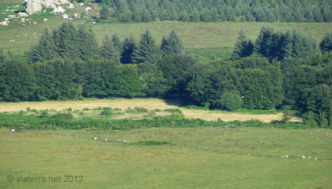 bretagne monts d'arree