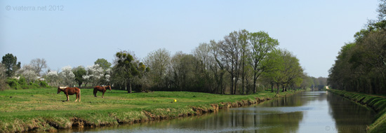 canal nantes-brest chevaux