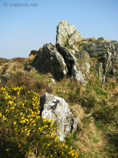 roc trevezel