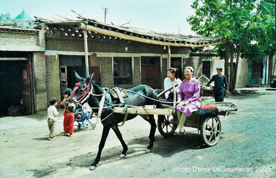 turpan horse drawn cart