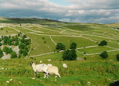 Yorkshire County England