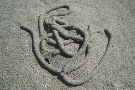 macro sand