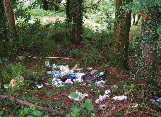 rubbish in ireland