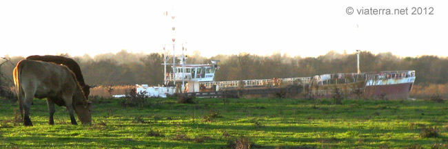 champs et bateau sur la loire