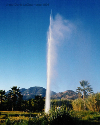 napa valley geyser