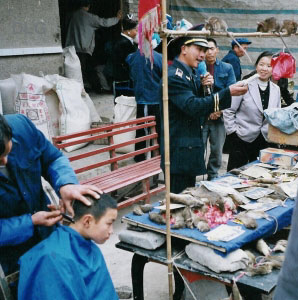fancy a haircut next to someone selling rat poison, with live rats trotting on bamboo frame ?