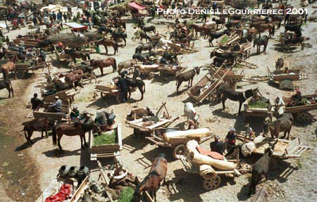 kashgar market