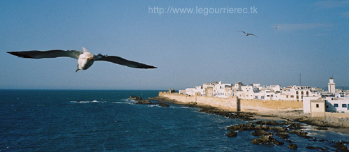 essaouira walls