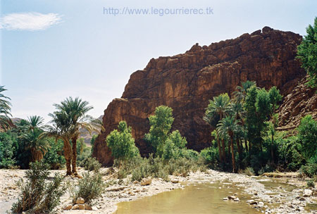 todra gorges palmeraie