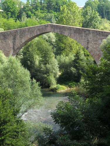 puente Sant Joan de les Abadesses