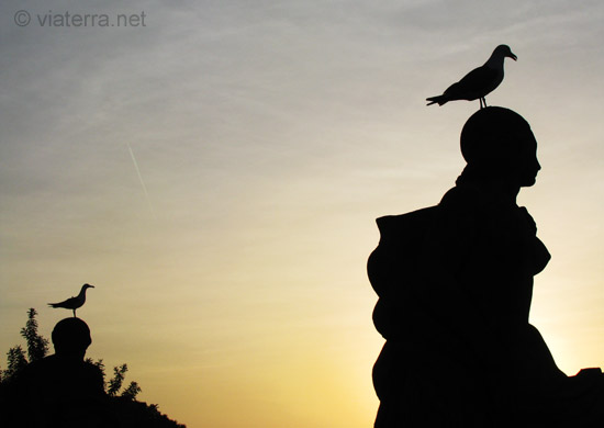 montjuic barcelona birds on statues