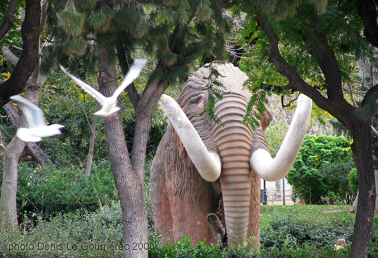 Mammoth Parc de la Ciutadella