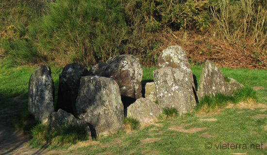 broceliande hotie maison de viviane