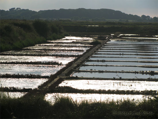 pays de guerande marais salants