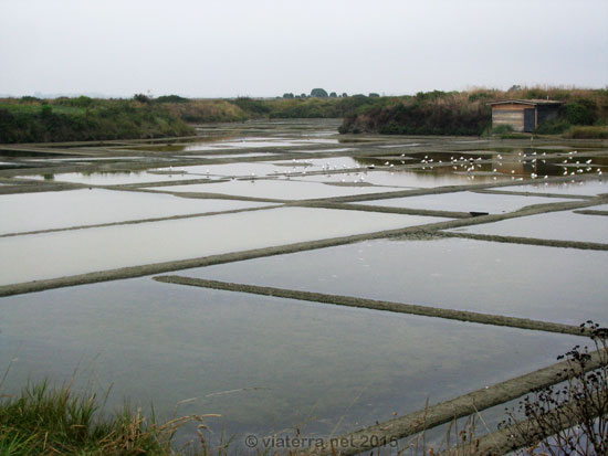 pays de guerande marais salants