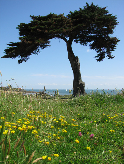 cote littoral pornic