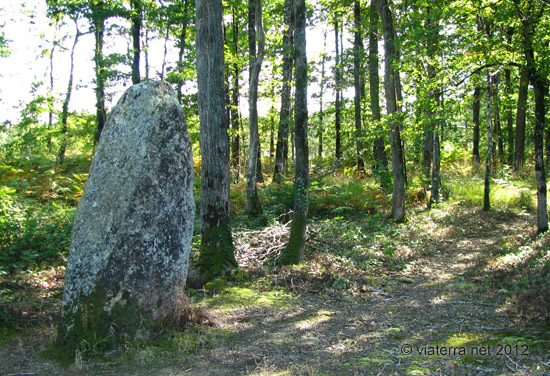 menhir pierre levee foret prince