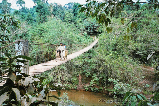 suspension bridge in south china