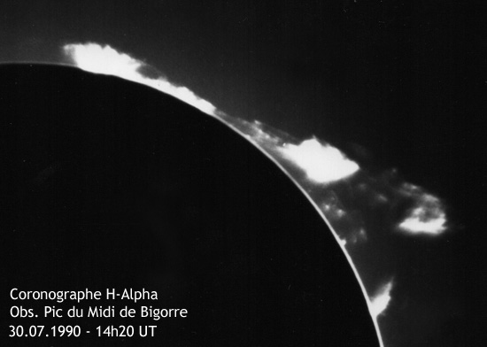 Solar prominences (H-alpha coronograph)