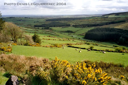 countryside Cork