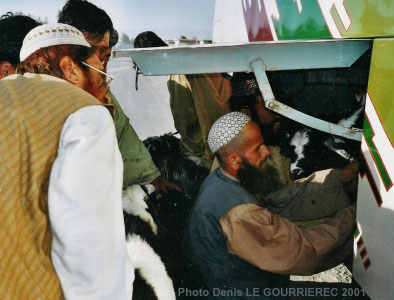 bus quetta iran border