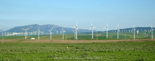 windfarm andalucia
