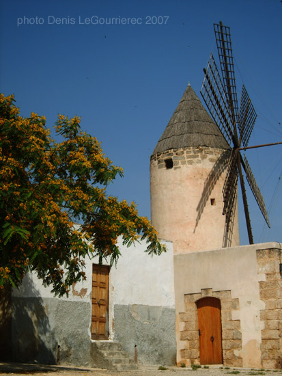 palma windmills