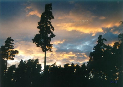 sunset in Uppsala