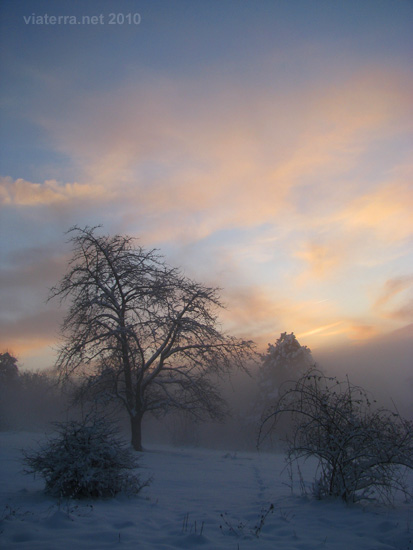 sunset and winter mist
